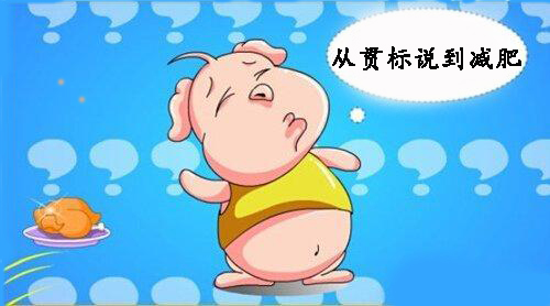 企业知识产权贯标思路与工作程序——从减肥谈起