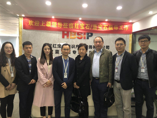 武汉市科技局(市知识产权局)领导莅临武汉红宝石知识产权服务有限公司/武汉蓝宝石专利代理事务所指导工作